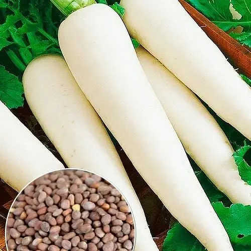 Дайкон "Структуратор" ТМ "Весна"  10г (177357) - фото 1