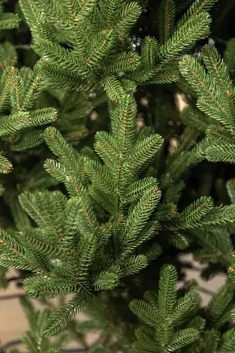 Ялинка штучна лита Віденська 2.3 м Зелена  - фото 4