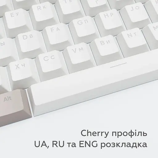 Набір кейкапів Dark Project Keycaps PBT KS-48 (DP-KS-0048) - фото 2