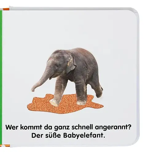 Mein Fühlbilderbuch. Wilde Tiere - фото 3