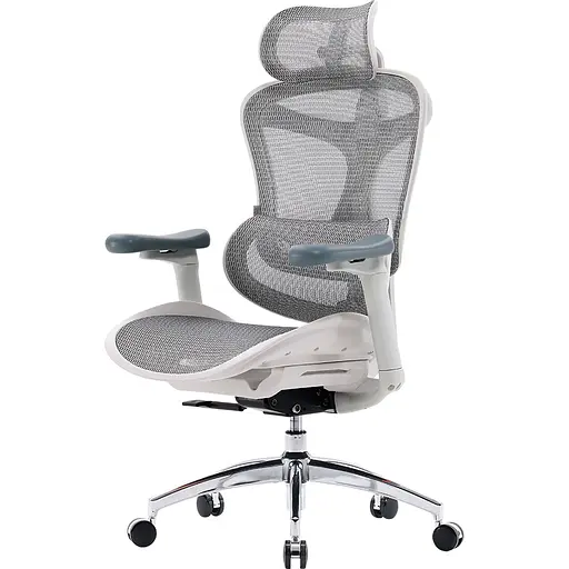 Крісло офісне Sihoo Doro C300L Mesh White (DORO-C300L-A3-102) - фото 3