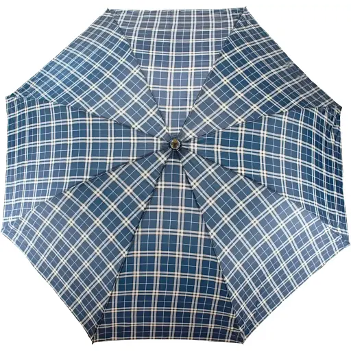 Зонтик Semi Line Grid Blue 2502 (DAS303538) - фото 2