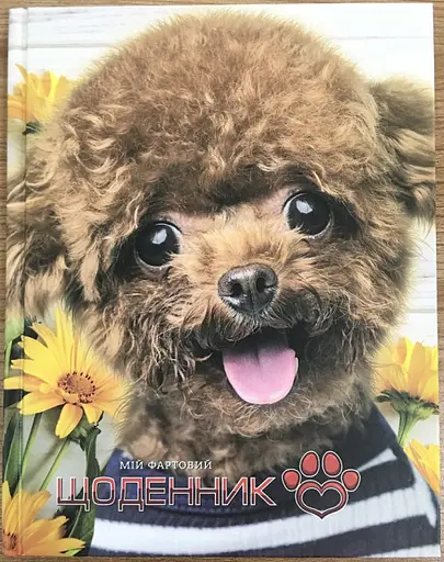 Щоденник шкільний, 165x208 мм, обкладинка 7БЦ, 40 аркушів, SD1704