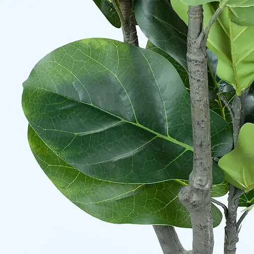 Искусственное растение Engard Fiddle 150 см (TW-02) - фото 6