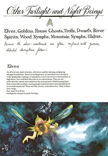 Gnomes - фото 14