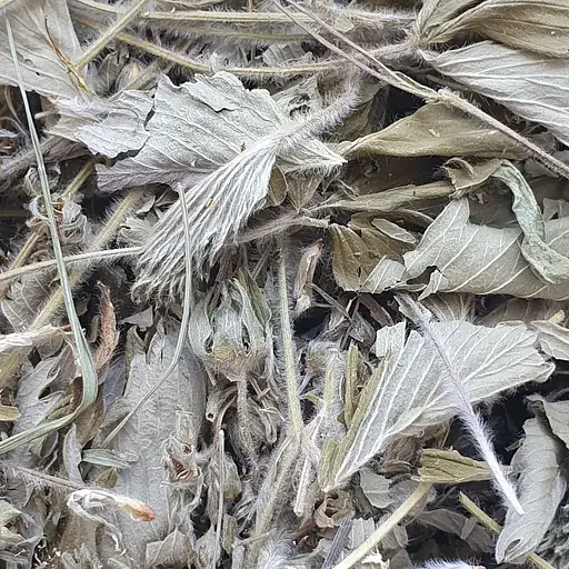 Земляника лесная лист сушеный - свежий урожай 100 г 