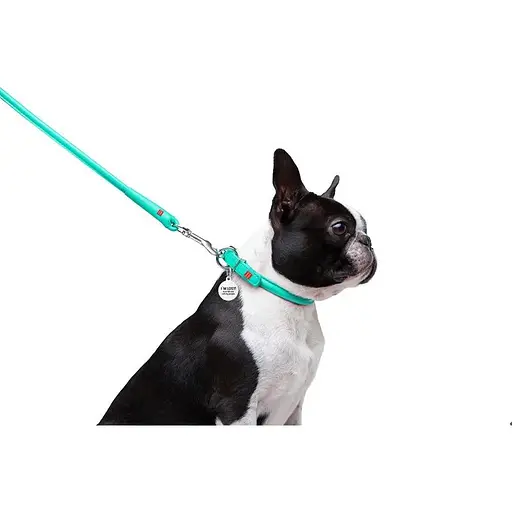 Повідець для собак Waudog Glamour шкіряний круглий, ментоловий - фото 4