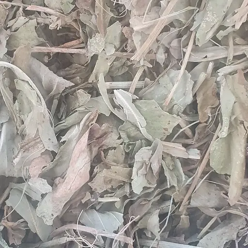 100 г бобівник/трилисник водяний/вахта трилиста листя сушене - свіжий урожай