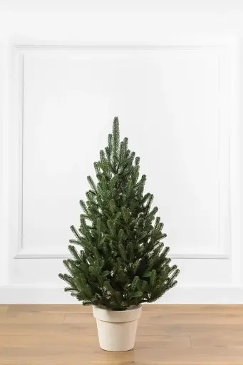 Елка искусственная в горшке литая Венская 1.1 м Зеленая 