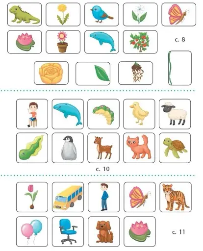 STEM-Старт. Зошит для учня. Наука про життя. 1 клас - фото 14