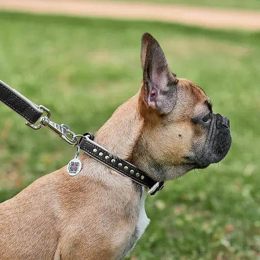 Ошейник для собак кожаный Waudog Soft с QR-паспортом металлические украшения Ш 20 мм Д 30-39 см черный - фото 5