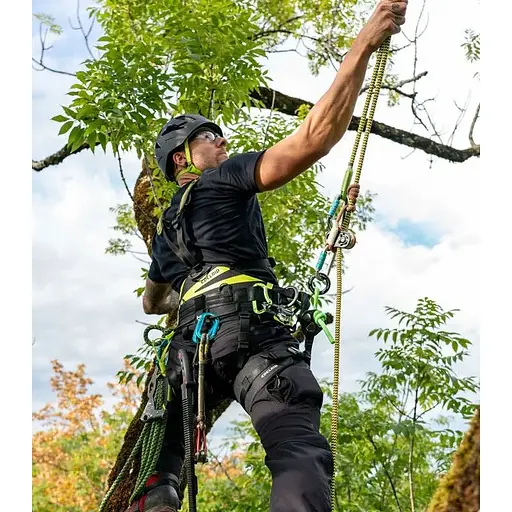 Страховочная система Edelrid TreeRaptor Black/Green L/XL (1017-820240152190) - фото 7