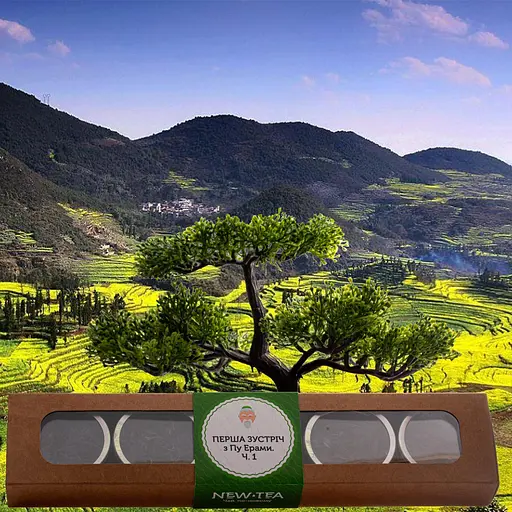 Первая встреча с Пу Эрами. Часть 1. - фото 2