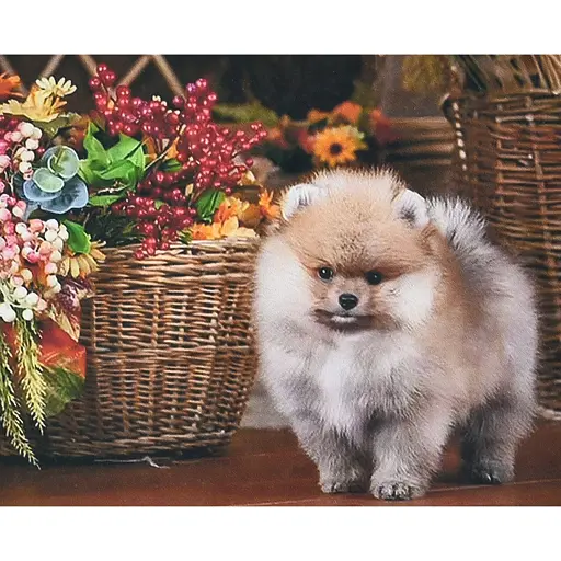 Алмазная мозаика Strateg ПРЕМИУМ Песик возле корзины размером 30х40 см (HEG87073) - фото 1