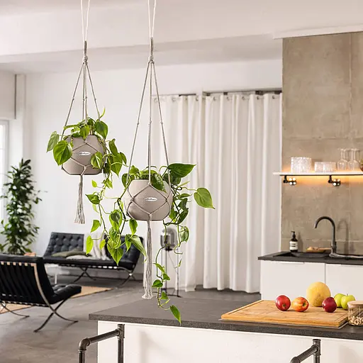 Підвіс Lechuza Macrame Boho білий 120 см (13897) - фото 3