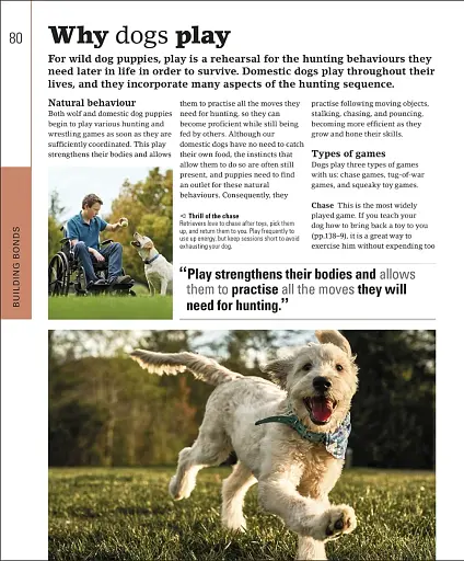 The Beginner's Dog Training Guide - фото 3