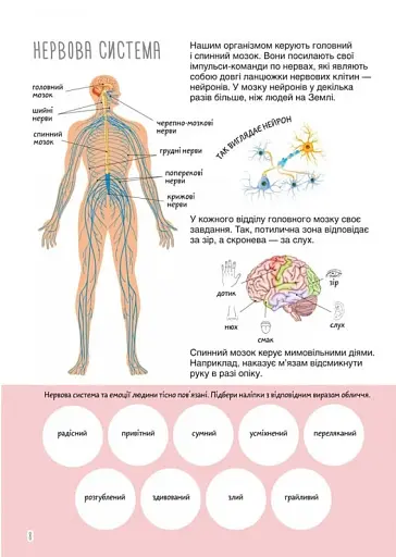 Книжка з наліпками. Тіло людини - фото 5