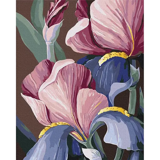 Картина по номерам Петушки Yana Biluhina Brushme 40x50 см разноцветная 000276531