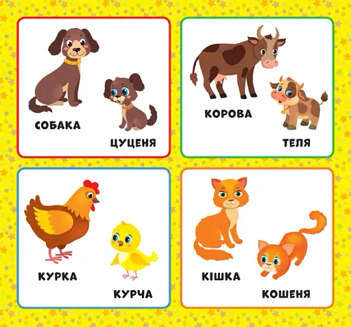 Перша книжка малюка. Хто моя мама? - фото 2