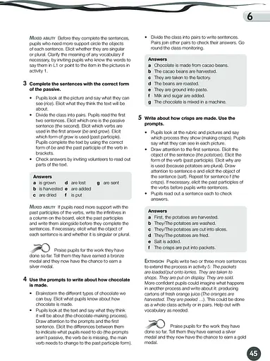 Grammar Goals. Level 5. Teacher's Book with Online Pack - фото 4