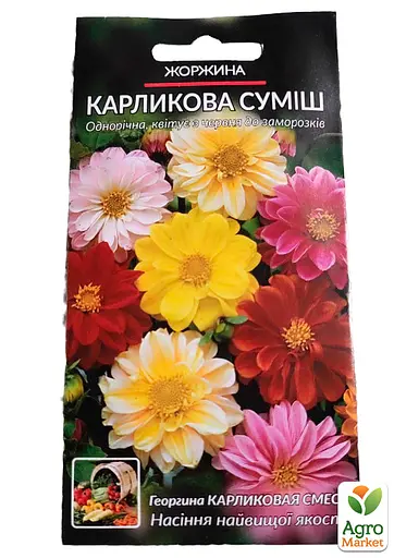 Жоржина "Карликова Суміш" Весна 0.2г (19766) - фото 2