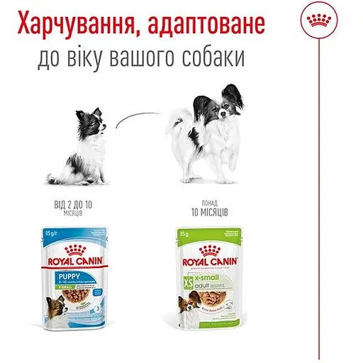 Вологий корм для дорослих собак мініатюрних розмірів Royal Canin X-Small Adult шматочки в соусі 1.02 кг (12 шт.  х 85 г) - фото 4
