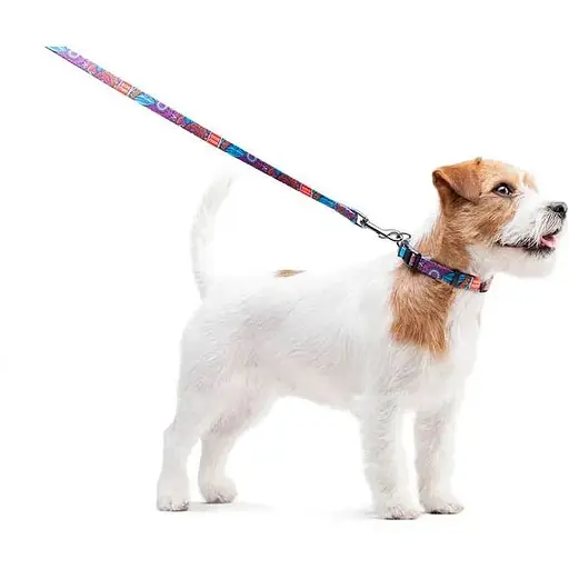 Повідець для собак Waudog Nylon нейлоновий, малюнок "Літо" - фото 5