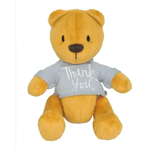 Мягкая игрушка Медвежонок Денни thank you Tigres ВЕ-0207 Разноцветный (4823061518576) - фото 1