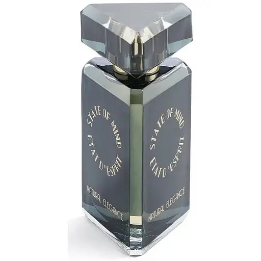 Парфюмированная вода оригинал тестер State Of Mind Natural Elegance 100 мл - фото 1
