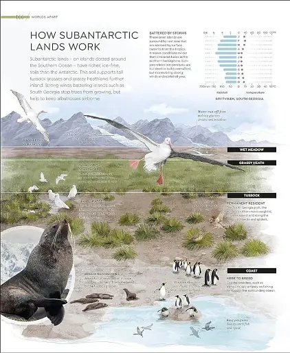 Habitats - фото 2