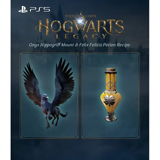 Игра Games Software Hogwarts Legacy Blu-ray диск PS5 - фото 3