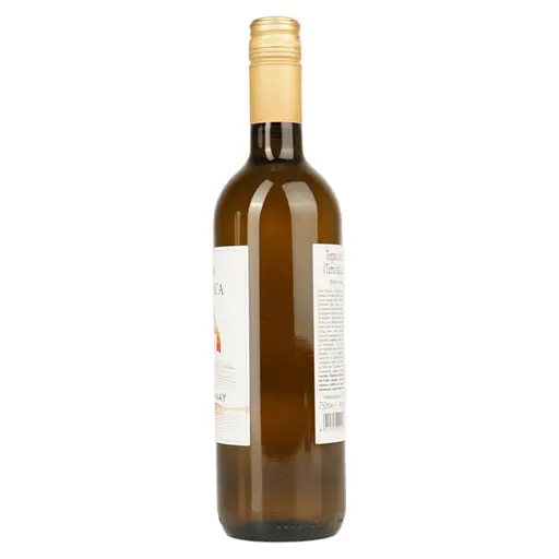 Вино Terra Italianica Chardonnay біле сухе 0.75 л - фото 3