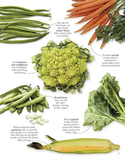 Little Course in Preserving. Simply Everything You Need to Succeed - фото 3