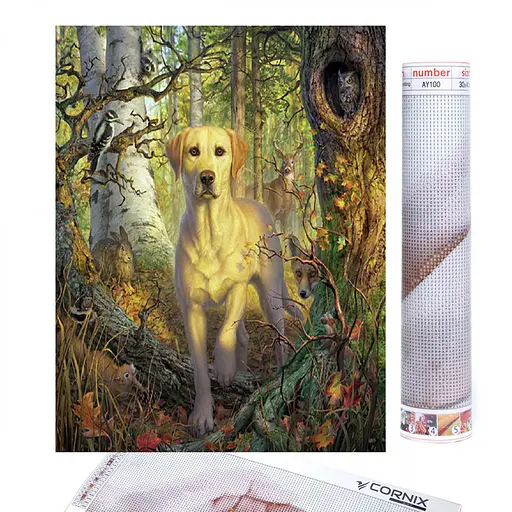 Набір алмазної мозаїки (вишивки) Cornix Art 40 x 30 см AY31 - фото 1