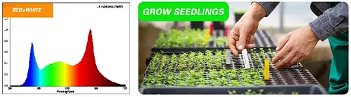 Світильник для рослин Brille FLF-09 LED 9W Fito Grow Red+White - фото 9