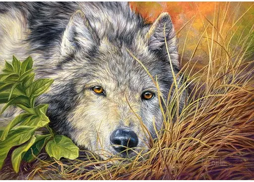 Пазл Castorland Чиста душа 500 ел. (B-53285) - фото 2