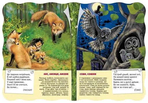 Малятко-розумнятко. Лісові тварини - фото 2