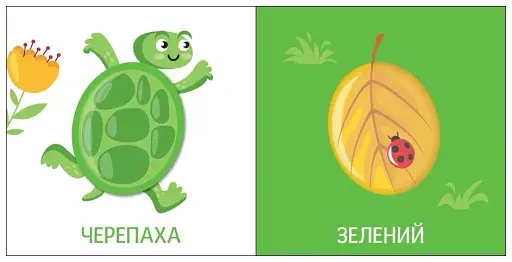 Яскравий світ. Кольори - фото 4