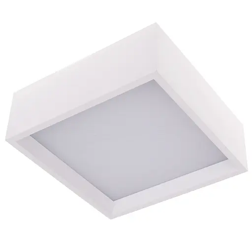 Светильник настенный-потолочный светодиодный накладной Brille WBL-22/20W WW WH