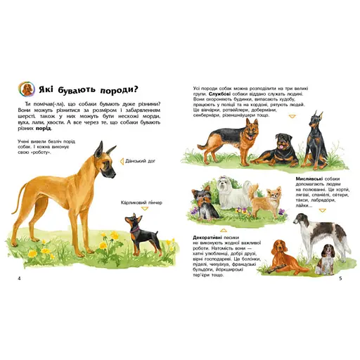 Энциклопедия дошкольника Собаки 614035 для самых маленьких - фото 4