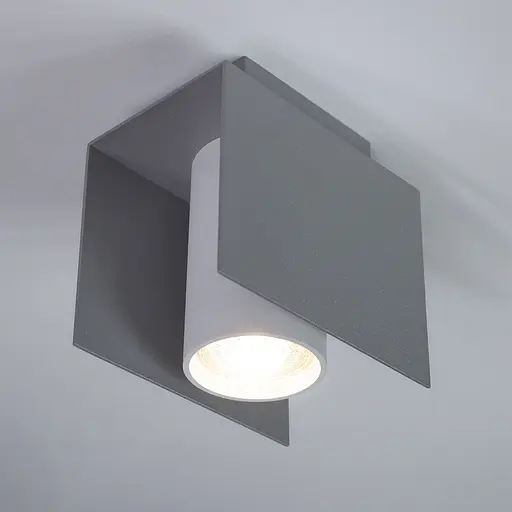 Потолочный светильник Imperium Light 316112.22.01 Bonn - фото 1