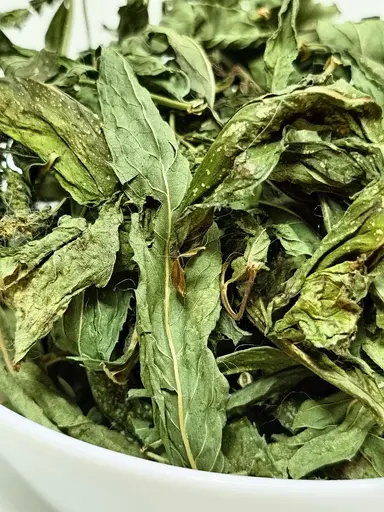 М'ята сушена 10г - фото 2