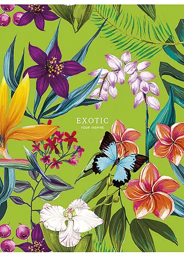 Комплект 4 шт загальних зошитів. Зошит Школярик А5 40 арк. у клітинку 539 4823088205572 - фото 5