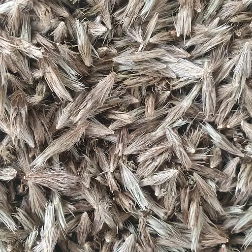 100 г мордовник семена - свежий урожай