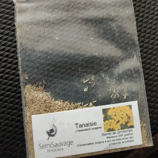 Піжма насіння відтворюване з Франції SemiWild 600 штук в упаковці - фото 2