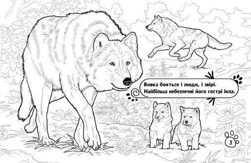 Розмальовка з тваринами. Тварини в лісі - фото 2