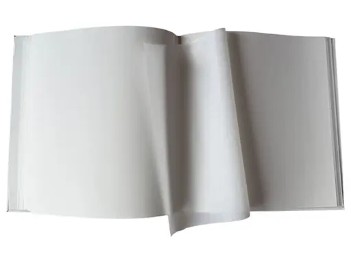 Альбом EVG 20sheet Tradition White 29x32см (0sheet T29x32 Tradition White) - фото 2