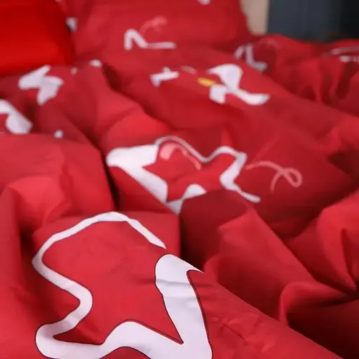 Пододеяльник MirSon Scarlet Star сатин 220х240 см (2200013051367) - фото 3