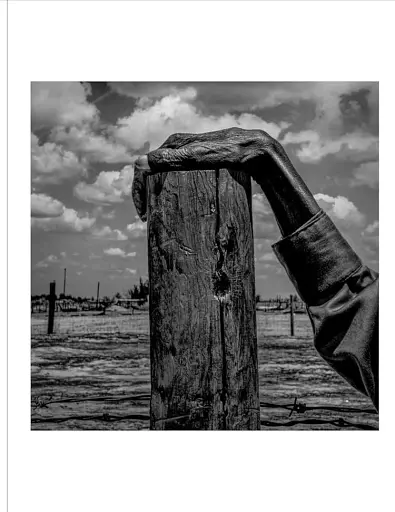 Photobox - фото 3