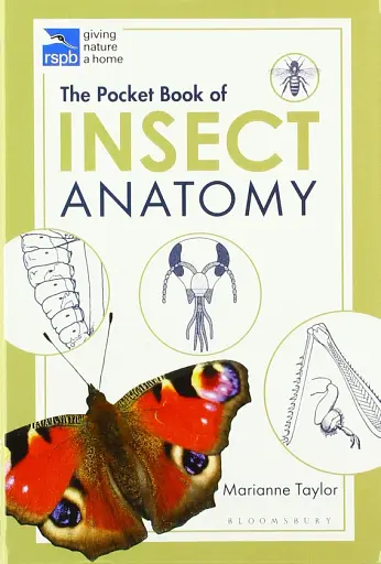 The Pocket Book of Insect Anatomy